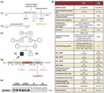 SASH3 Antibody in Western Blot (WB)