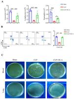 CD4 Antibody in Flow Cytometry (Flow)