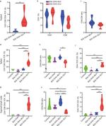 CD4 Antibody in Flow Cytometry (Flow)