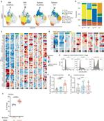 CD4 Antibody in Flow Cytometry (Flow)