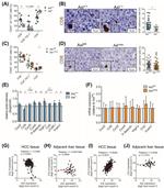 CD4 Monoclonal Antibody (RM4-5), PE-Cyanine7, eBioscience™