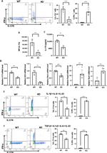CD4 Antibody in Flow Cytometry (Flow)