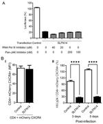 CD4 Antibody in Flow Cytometry (Flow)