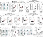CD4 Antibody in Flow Cytometry (Flow)