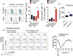 CD4 Antibody in Flow Cytometry (Flow)