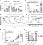 CD4 Antibody in Neutralization (Neu)
