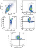 CD11b Antibody in Flow Cytometry (Flow)