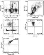 CD273 (B7-DC) Antibody in Flow Cytometry (Flow)