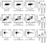 CD4 Antibody in Flow Cytometry (Flow)