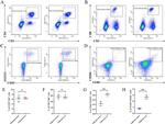 CD8a Antibody in Flow Cytometry (Flow)