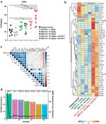 CD8a Antibody in Flow Cytometry (Flow)