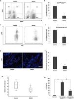 CD8a Antibody in Flow Cytometry (Flow)