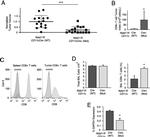 CD8a Antibody in Flow Cytometry (Flow)