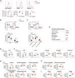 CD8a Antibody in Flow Cytometry (Flow)