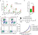 CD8a Antibody in Flow Cytometry (Flow)
