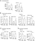CD8a Antibody in Flow Cytometry (Flow)