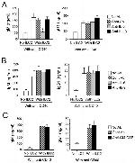 IL-9 Monoclonal Antibody (D9302C12), Functional Grade, eBioscience™