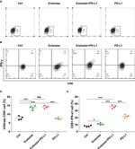 CD8a Antibody in Flow Cytometry (Flow)