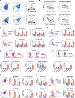 CD8a Antibody in Flow Cytometry (Flow)