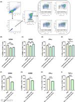 CD8a Antibody in Flow Cytometry (Flow)