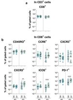 CD8a Antibody in Flow Cytometry (Flow)