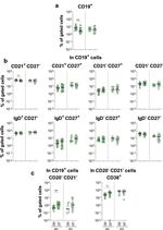 CD19 Antibody in Flow Cytometry (Flow)