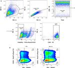CD8a Antibody in Flow Cytometry (Flow)