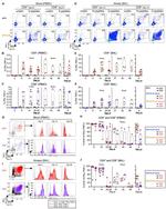 CD8a Antibody in Flow Cytometry (Flow)