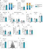 CD11b Antibody in Flow Cytometry (Flow)