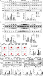 CD11b (activation epitope) Antibody in Flow Cytometry (Flow)