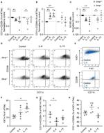 CD11c Antibody in Flow Cytometry (Flow)