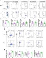 CD11c Antibody in Flow Cytometry (Flow)