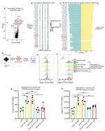 CD14 Antibody in Flow Cytometry (Flow)