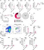 CD314 (NKG2D) Antibody in Flow Cytometry (Flow)