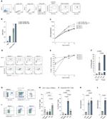 CD27 Antibody in Flow Cytometry (Flow)