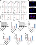 CD29 (Integrin beta 1) Antibody in Flow Cytometry (Flow)