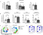 CD43 Antibody in Flow Cytometry (Flow)