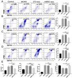Ly-6G Antibody in Flow Cytometry (Flow)