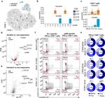 CD45RO Antibody in Flow Cytometry (Flow)