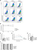 CD47 Antibody in Flow Cytometry (Flow)