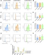 CD49f (Integrin alpha 6) Antibody in Flow Cytometry (Flow)