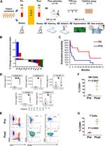 CD56 (NCAM) Antibody in Flow Cytometry (Flow)