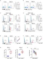 CD273 (B7-DC) Antibody in Flow Cytometry (Flow)
