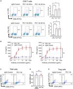 CD68 Antibody in Flow Cytometry (Flow)