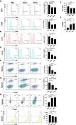 CD69 Antibody in Flow Cytometry (Flow)