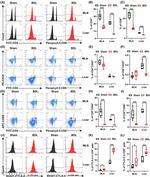 CD69 Antibody in Flow Cytometry (Flow)