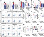 CD69 Antibody in Flow Cytometry (Flow)