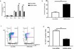 CD71 (Transferrin Receptor) Antibody in Flow Cytometry (Flow)