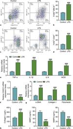 CD80 (B7-1) Antibody in Flow Cytometry (Flow)