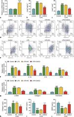 CD80 (B7-1) Antibody in Flow Cytometry (Flow)